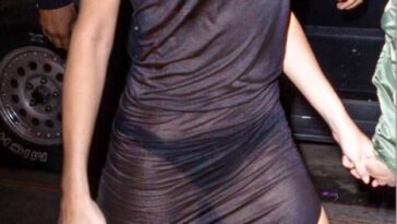 Selena Gomez Sheer See-Through Dress Premium